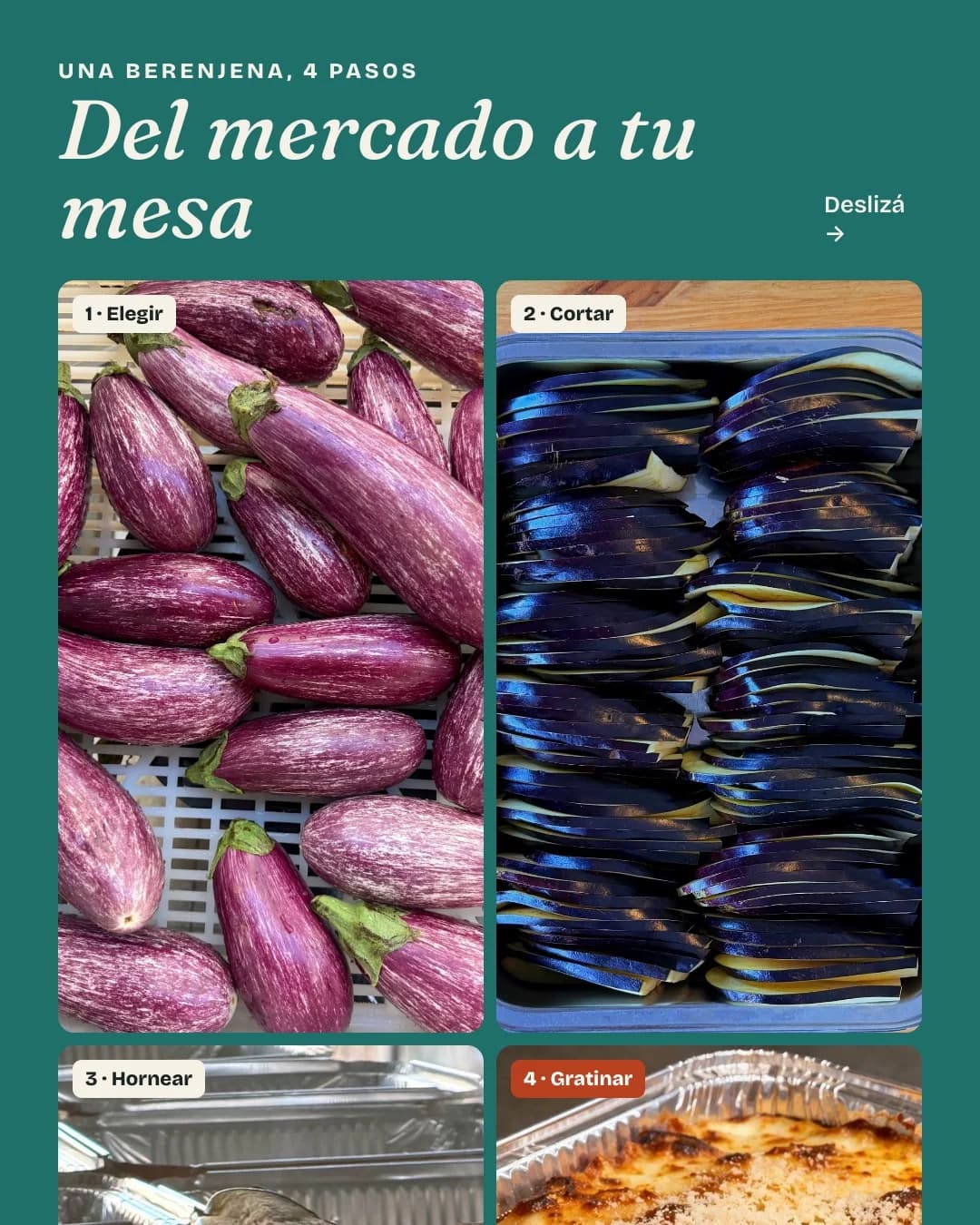Fiore · Viandas Fiore — pieza FI-08